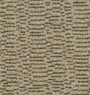 Reclaim Thyme 31561