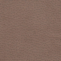 4123-17 Juno Taupe
