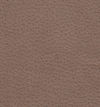 4123-17 Juno Taupe