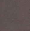 5428-14 Dove