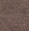 4117-22 Palace Silt