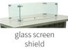 Glass Screen Shield