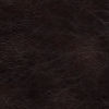 Next Week Chocolate (8074-12)