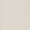 Dream White 20JH