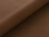 Appaloosa Cinnamon