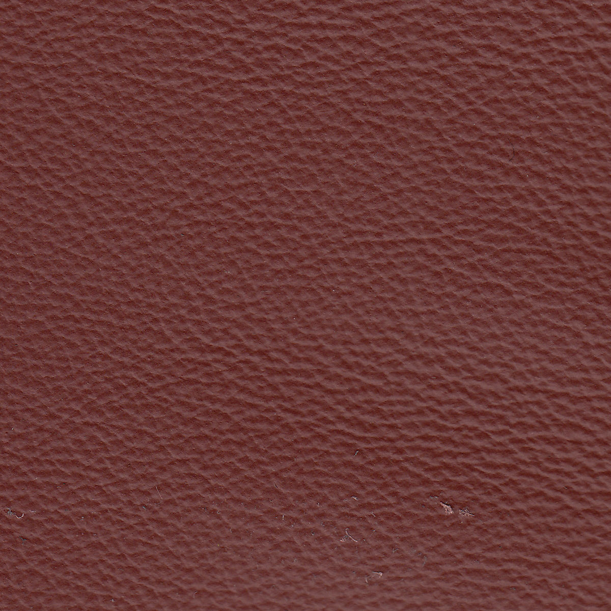 Leisure Cinnamon 25VD