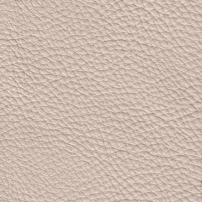 Dream Light Beige 20JJ